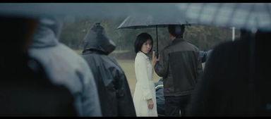 国产悬疑电影分身在线播放,国产悬疑电影在线揭秘